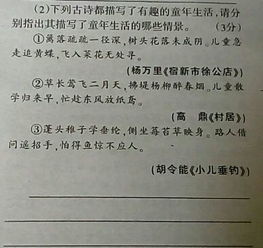 問(wèn)答題,詩(shī)句