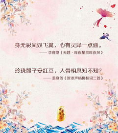 情人節經(jīng)典古詩(shī)句