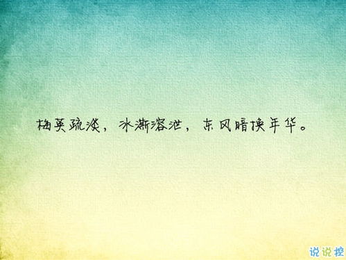 代表情感的古詩(shī)句