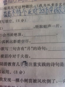 明月問(wèn)渠的古詩(shī)句