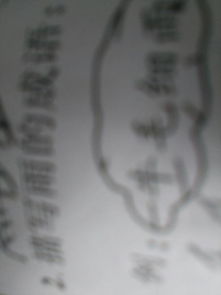 關(guān)于雨的詩(shī)句成語(yǔ)俗語(yǔ)諺語(yǔ),關(guān)于雨的詩(shī)句和成語(yǔ)還有俗語(yǔ),關(guān)于雨的成語(yǔ)和俗語(yǔ)和詩(shī)句
