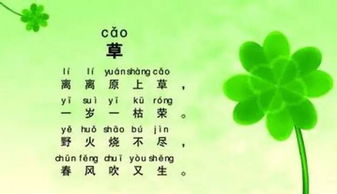 有關(guān)草的詩(shī)句古詩(shī),關(guān)于秋草的詩(shī)句古詩(shī),描寫(xiě)草的詩(shī)句古詩(shī)