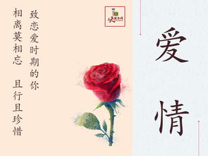 大棗,詩(shī)句,愛(ài)情