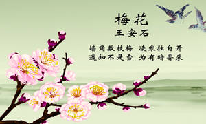 古詩(shī)中表達煩躁的詩(shī)句