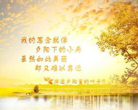 表達思念的古詩(shī)句句子