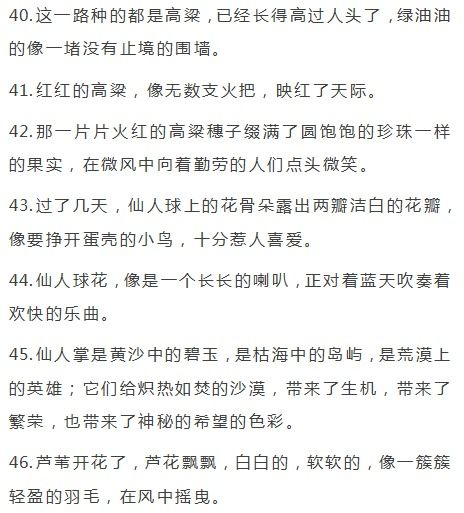 擬人,詩(shī)句,修辭手法