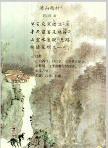 小學(xué)四級關(guān)于杏花的詩(shī)句古詩(shī)
