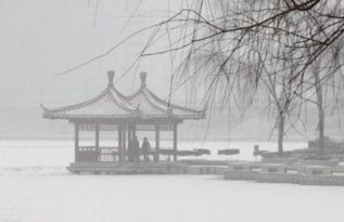 西湖雪的詩(shī)句古詩(shī)大全