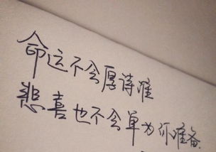 關(guān)于堅持到底的古詩(shī)句