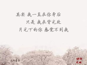 關(guān)于相逢相遇的詩(shī)句