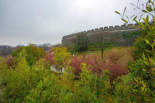 有關(guān)春雨的詩(shī)句古詩(shī),江南春雨的詩(shī)句古詩(shī),描寫(xiě)春雨的詩(shī)句古詩(shī)