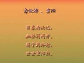 唐代關(guān)于重陽(yáng)節的詩(shī)句古詩(shī)