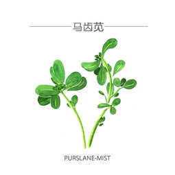 描寫(xiě)動(dòng)物和植物的詩(shī)句,有動(dòng)物和植物的詩(shī)句,帶動(dòng)物和植物的詩(shī)句