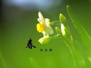關(guān)于朱自清《春》的詩(shī)句