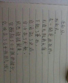 關(guān)于狂風(fēng)的詩(shī)句古詩(shī)大全