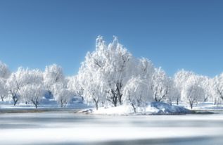 詩(shī)句,美景,形容,留下