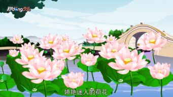 描寫(xiě)西湖荷花的詩(shī)句古詩(shī)
