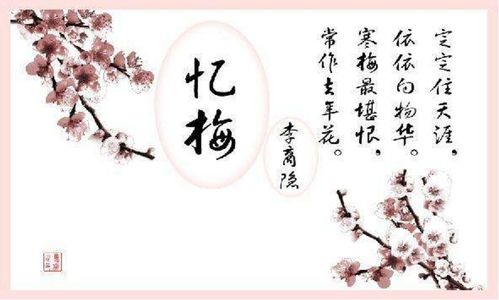 寫(xiě)一首關(guān)于梅花的詩(shī)句