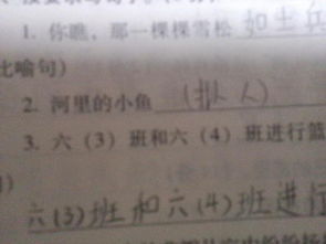寫(xiě)一句關(guān)于愛(ài)國的名言或詩(shī)句