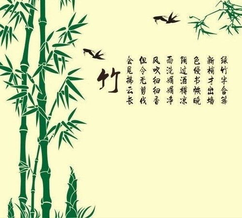 關(guān)于竹的詞語(yǔ)和詩(shī)句