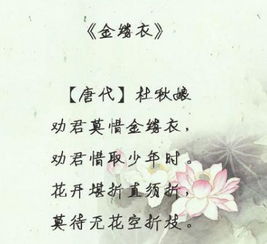 關(guān)于立夏的古詩(shī)和句子,春的古詩(shī)句子,堅持的古詩(shī)句子