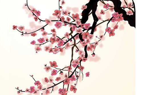 古詩(shī)關(guān)于梅花的詩(shī)句有哪些