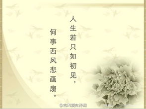 古詩(shī)五絕小滿(mǎn),關(guān)于月亮的古詩(shī)10首五絕,情人節詩(shī)詞五絕古詩(shī)