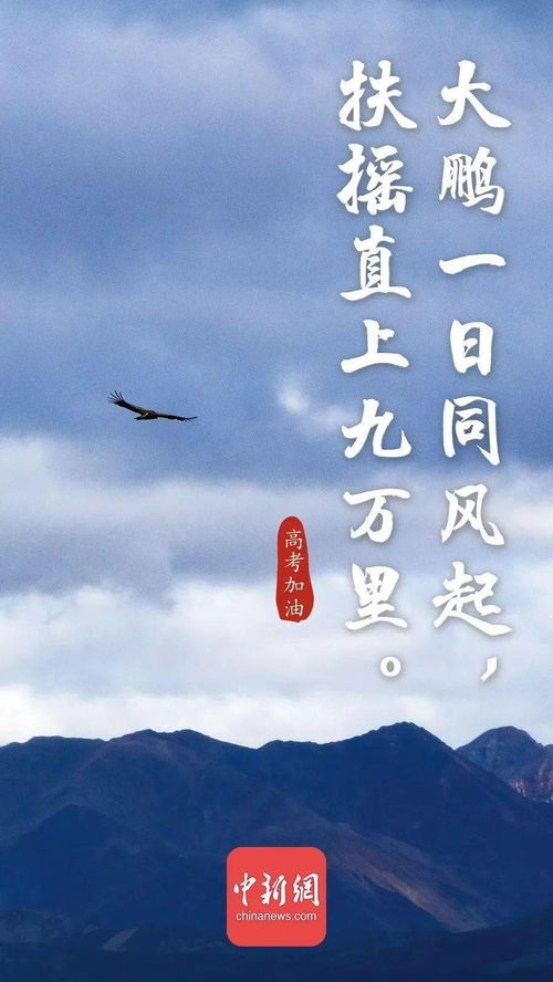 詩(shī)句,高中,窮書(shū)生