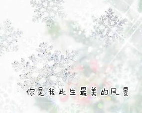 古詩(shī)句煽情