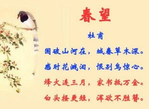 詩(shī)句,形容,追求,醫生