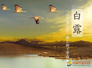 關(guān)于白露的詩(shī)句節氣
