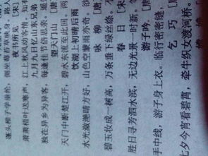 帶有雨字的詩(shī)句古詩(shī)大全