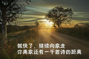 我是,誰(shuí)的,詩(shī)句