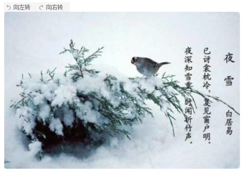 7到8級關(guān)于寫(xiě)雪的詩(shī)句