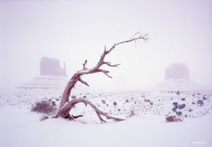 冬雪的詩(shī)句古詩(shī),寫(xiě)冬雪的詩(shī)句古詩(shī),贊美冬雪的詩(shī)句古詩(shī)