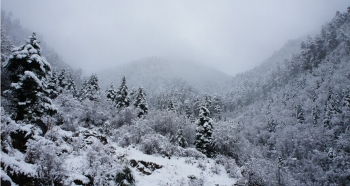 詩(shī)句,大雪,贊美