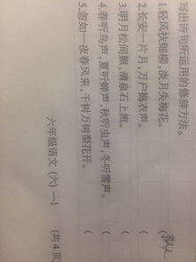 運用修辭手法的古詩(shī)句