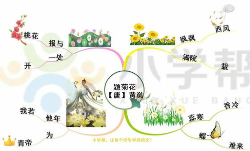 小學(xué)寫(xiě)菊花的詩(shī)句古詩(shī)大全