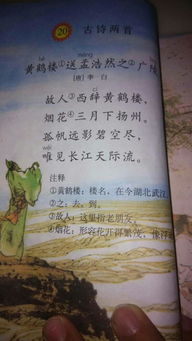 古詩(shī)句里面的石頭含義是什么意思