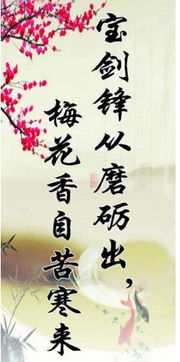 經(jīng)典勵志古詩(shī)句格言