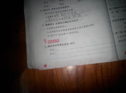 一血.關(guān)于母親的詩(shī)句和詞語(yǔ).