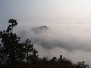 詩(shī)句,登山,春節