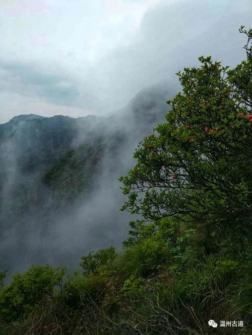 蒼山,詩(shī)句