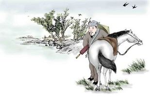 詩(shī)句,眼睛,保護