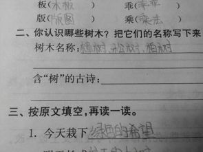 古詩(shī)中含樹(shù)的詩(shī)句有哪些