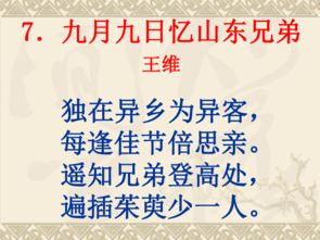 詩(shī)句,贊美,課堂,發(fā)言
