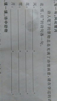 關(guān)于風(fēng)花雪月的詩(shī)句各四句