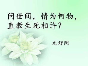 留住,卻沒(méi)有,詩(shī)句,愛(ài)情