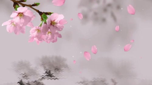 關(guān)于月夜江的詞或詩(shī)句