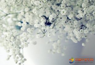 關(guān)于寫(xiě)滿(mǎn)天星的詩(shī)句